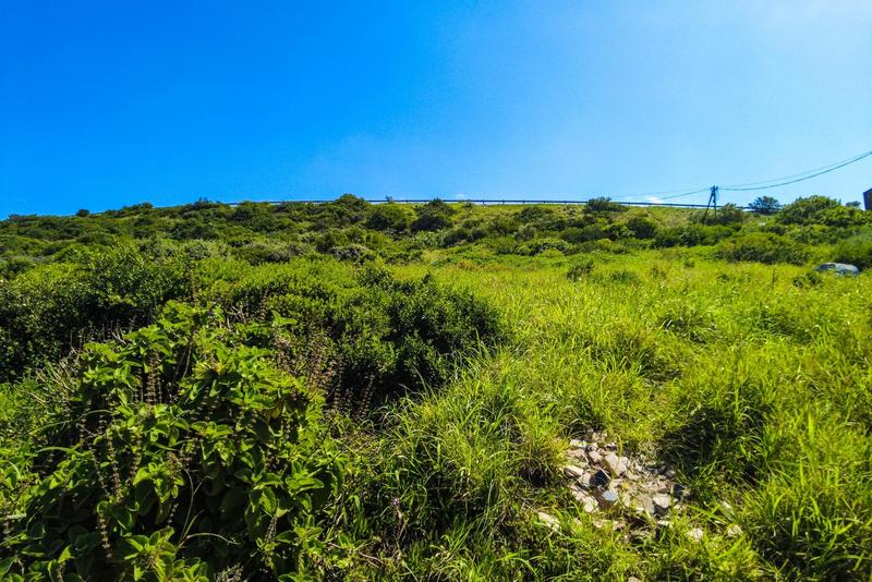 0 Bedroom Property for Sale in Diaz Industria Western Cape